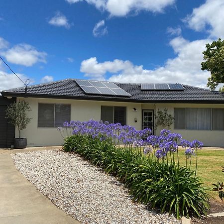 Para House, Tanunda. In The Heart Of The Barossa Valley!. 빌라 외부 사진
