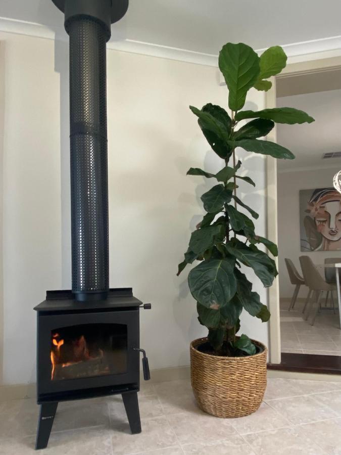 Para House, Tanunda. In The Heart Of The Barossa Valley!. 빌라 외부 사진